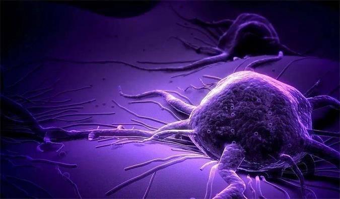 尊龙凯时助力轩竹生物研发的完全敲除岩藻糖的双抗ADC药物KM501获批临床