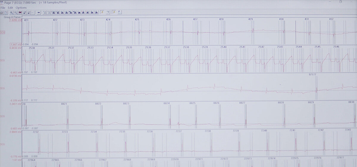 尊龙凯时 SEND 数据转换平台
