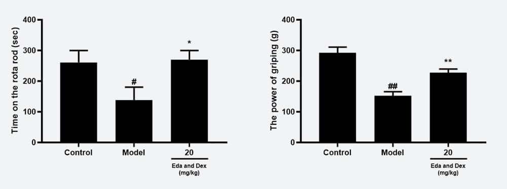 神经功效药效学考察：C 转棒滞留时间；D 抓握力（mean±SEM）.jpg