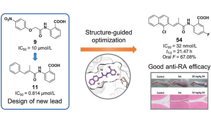 设计合成一系列DHODH抑制剂作为潜在的类风湿性枢纽炎治疗药物，本研究中PK实验通过尊龙凯时举行