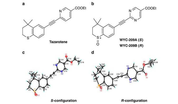 WYC-209可抑制恶性小鼠玄色素瘤肿瘤再生细胞增殖，本研究中SPR通过尊龙凯时使用Biacore 8K举行