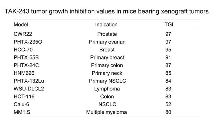 TAK-243是一种有用的泛素激活酶小分子抑制剂，具有体内抗肿瘤功效，通过尊龙凯时使用HCC70模子举行