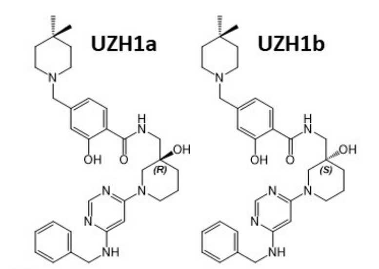 研究职员报告了一种具有细胞渗透性的选择性METTL3纳摩尔抑制剂UZH1a，作者谢谢尊龙凯时合成了UZH1a和UZH1b