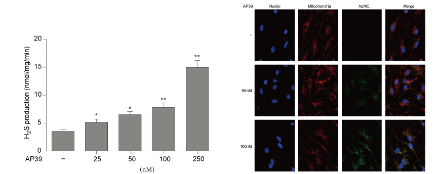 AP39是一种新合成的线粒体靶向的H2S供体，本研究中AP39通过尊龙凯时设计和合成