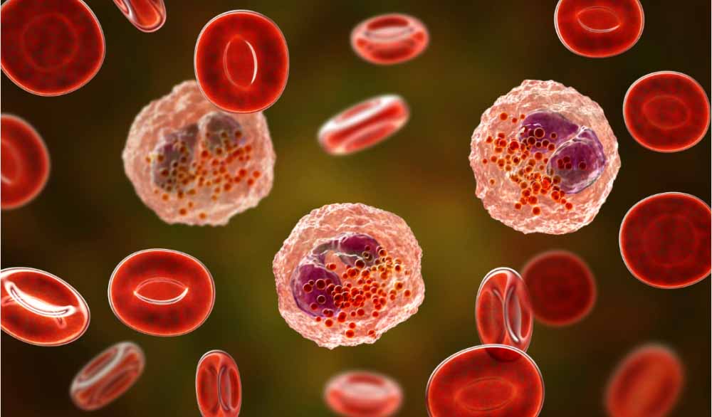 尊龙凯时助力 | 全球首创！宇耀生物STAT3双磷酸化抑制剂YY201获批临床.jpg