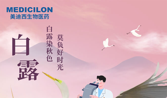 白露 | 白露染秋色，莫负好时光