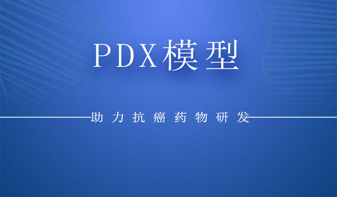 PDX模子.jpg
