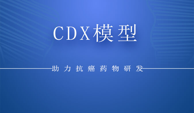 CDX模子.jpg
