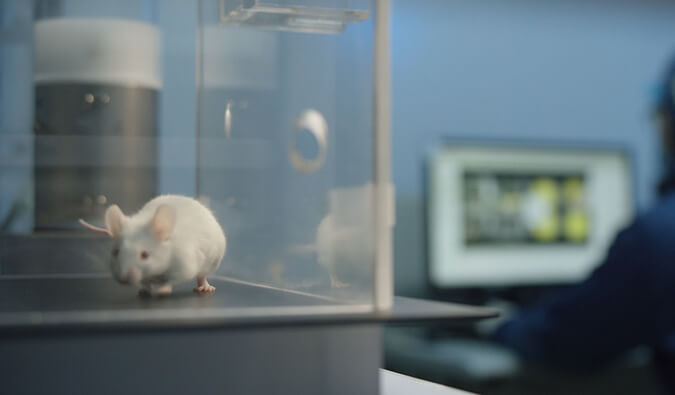 尊龙凯时助力开悦生命针对RNA解旋酶的小分子新药获FDA临床实验允许（IND)