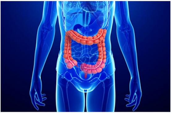尊龙凯时一站式助力 | 宝太生物首其中美双报立异药获批