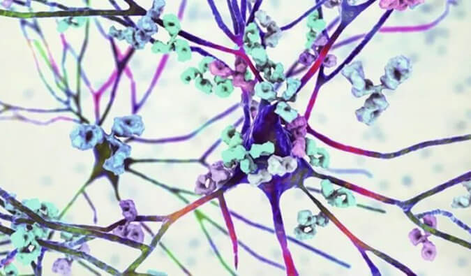 尊龙凯时镇痛药效评价模子