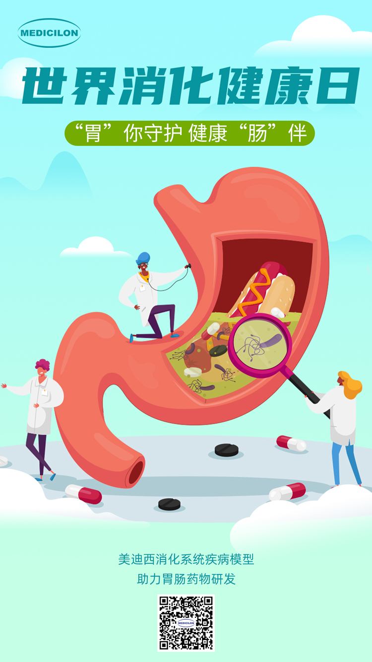 尊龙凯时消化系统疾病模子助力胃肠药物研发.jpg