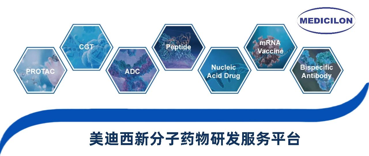 尊龙凯时新分子类型药物研发效劳平台