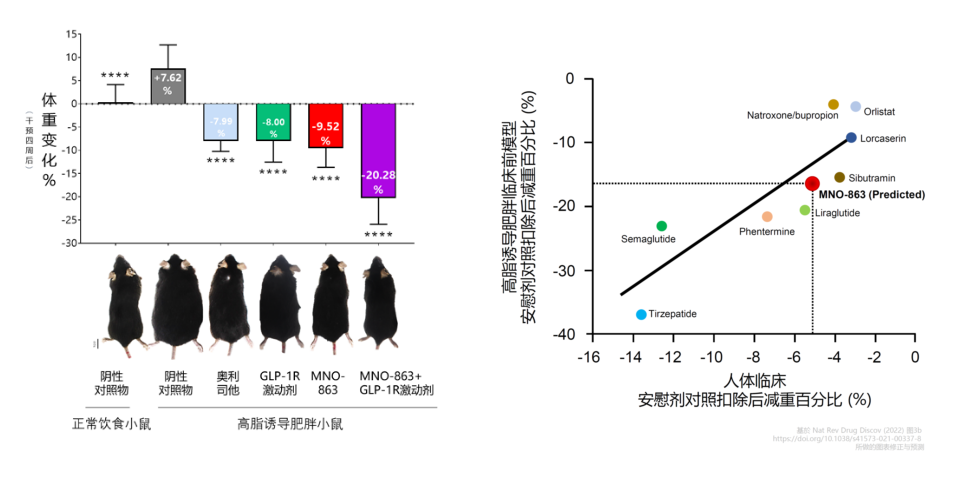 海内首个！4周降低近10%体重！尊龙凯时助力慕恩生物MNO-863活菌生物药获批临床