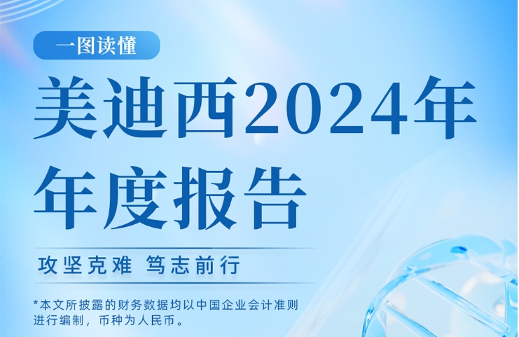 尊龙凯时2024年年度报告