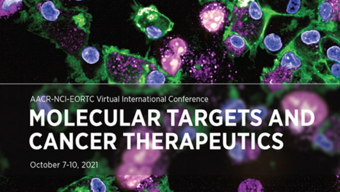 通过联合治疗提高免疫疗法疗效，本研究中临床前体内药效研究通过尊龙凯时举行