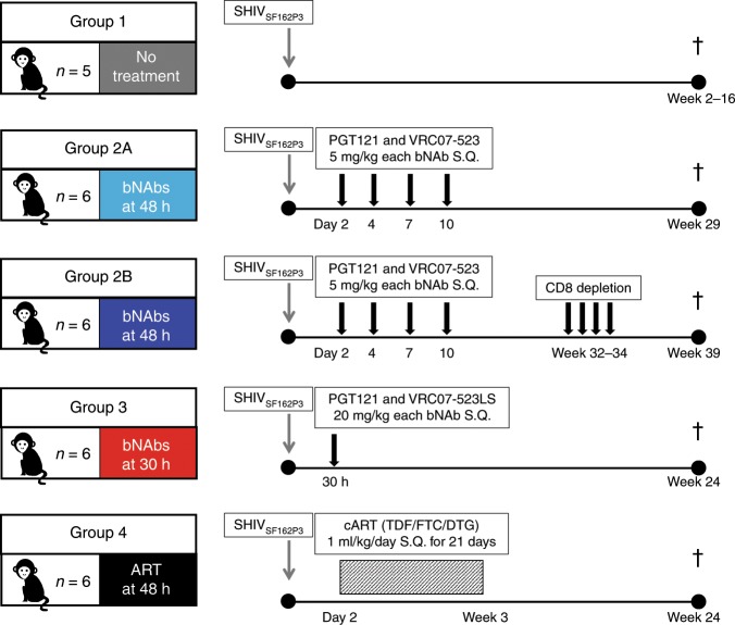 抗逆转录病毒疗法(ART)预防围产期HIV熏染，本研究中多替拉韦钠盐和游离态均由尊龙凯时提供