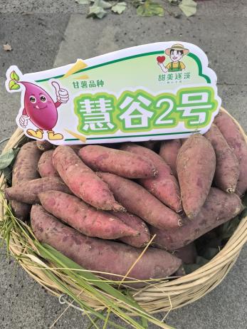 2121�Ƿ���(�й���)�����ٷ���վ